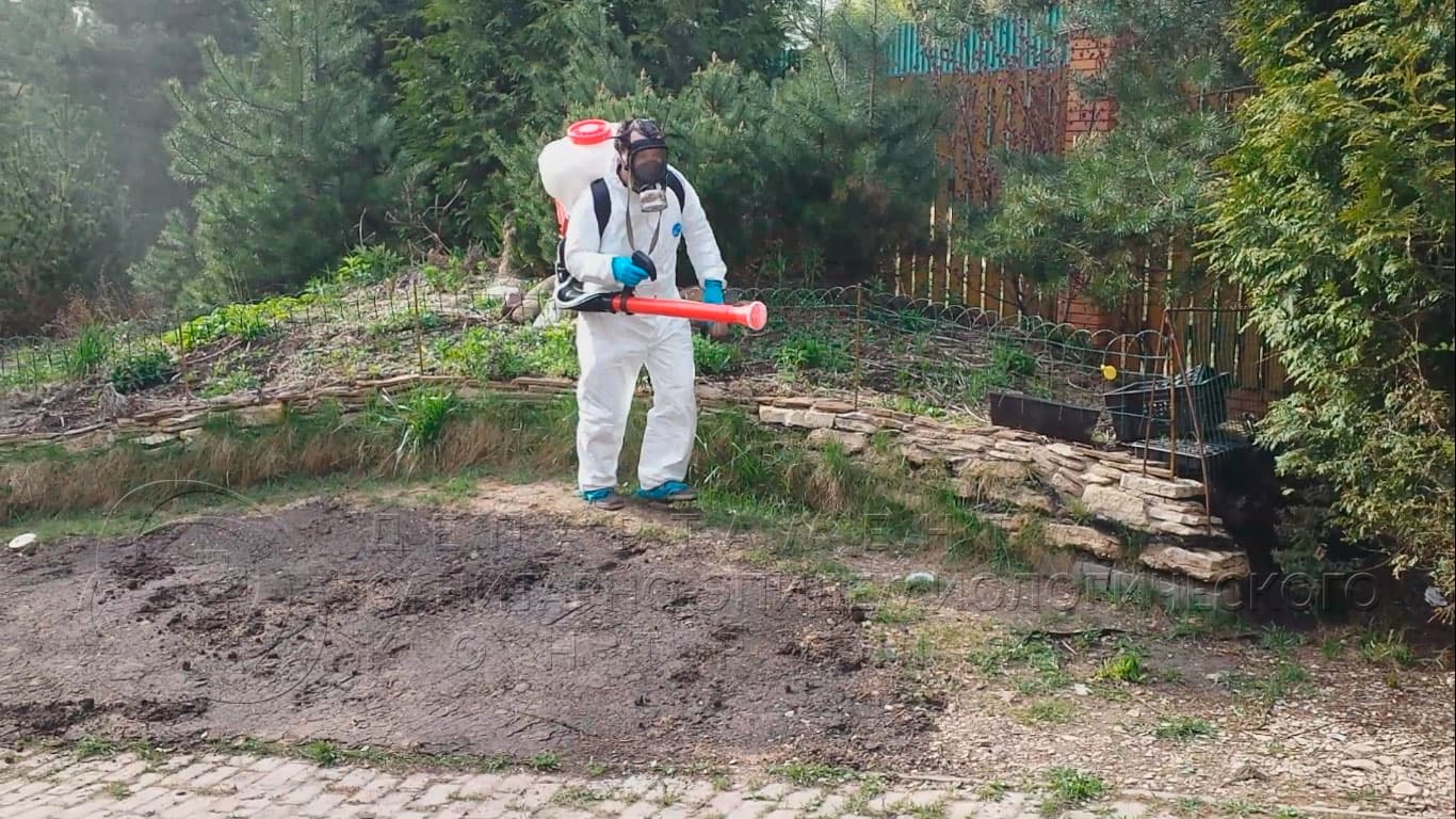 Уничтожение клещей на участке в Щелково